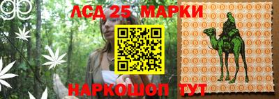 PSILOCYBIN Кандалакша