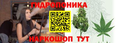 PSILOCYBIN Кандалакша